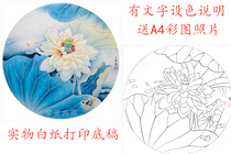 High-definition work stroke material circular fan surface lotus flower bird work stroke white sketching draft line draft physical print manuscript 01