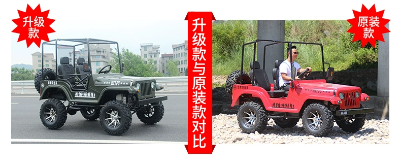 Xe mô tô bốn bánh xe máy điện ATV tất cả các địa hình 250 trục lái xe off-road xe hổ sói tấn công xe karting