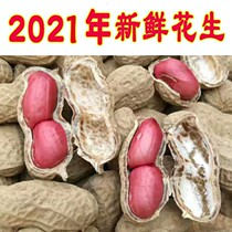 2021 Fresh red skin peanuts rice sundry with shell Guangxi special production farmhouse Self-planted red coat raw peanut rice 5 catties