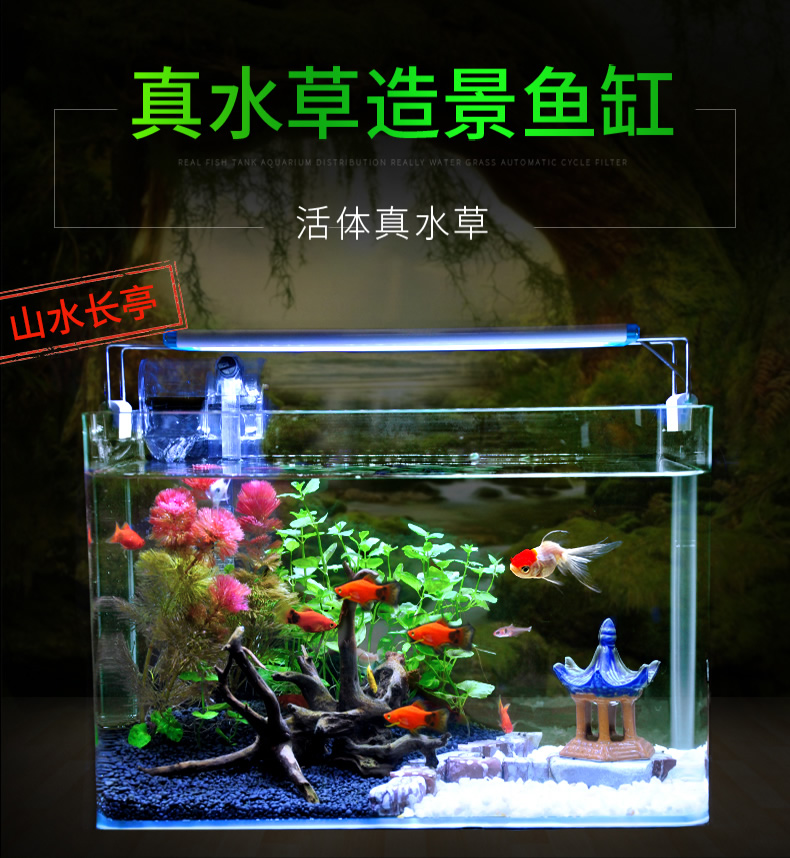 元氣時尚館 真水草玻璃魚缸水族箱小型客廳桌面居家用生態草缸裝飾造景金魚缸l7h Yahoo奇摩拍賣