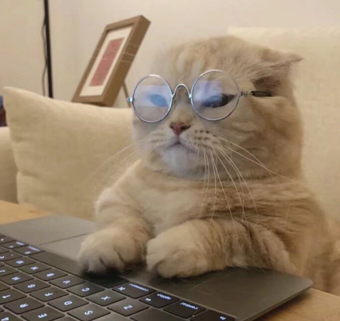 小猫数码