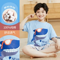 DNY582 Blue#2K