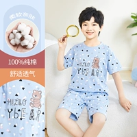 DNY029Happy Bear Blue#2K