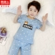 DNY029Happy Bear Blue#2K