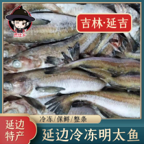 Northeast Jilin Yanbian Yanji authentic Korean fresh Ming Tai fish Frozen Ming Tai fish 6 stewed soup