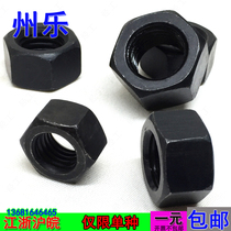 Class 10 9 Outer Hexagon Nut Class 10 Nut M6M8M10M12M14M16MM18M20M24M27M0-M72