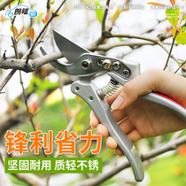 Langqi Pruning branch scissors Garden fruit branch scissors Flower scissors Gardening coarse branch scissors Fruit tree plant pruning flower scissors