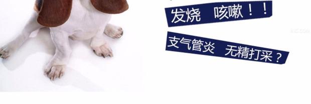 Meibeihui Trung Quốc Kang chó mèo cưng thuốc cảm lạnh hắt hơi ho ho viêm mũi phế quản - Cat / Dog Medical Supplies kim tiêm cho chó