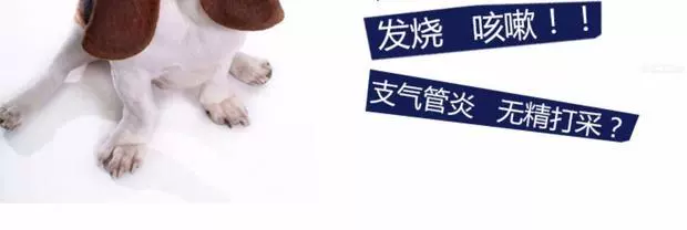 Meibeihui Trung Quốc Kang chó mèo cưng thuốc cảm lạnh hắt hơi ho ho viêm mũi phế quản - Cat / Dog Medical Supplies