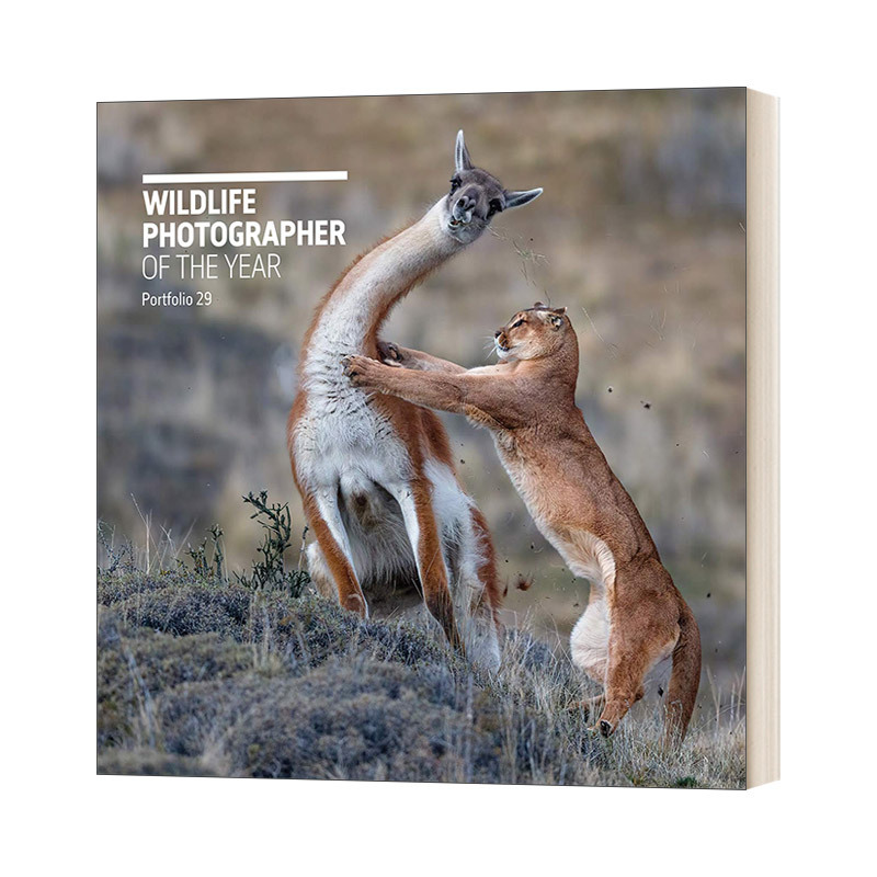 English Original Version Wildlife Photographer of the Year Portfolio 29 Annual Wildlife Photographer Portfolio Volume 29 Hardcover English Edition Imported English Original Book