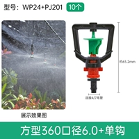 Square 360 ​​Caliber 6.0+ Single Hook/10 WP24+ PJ201