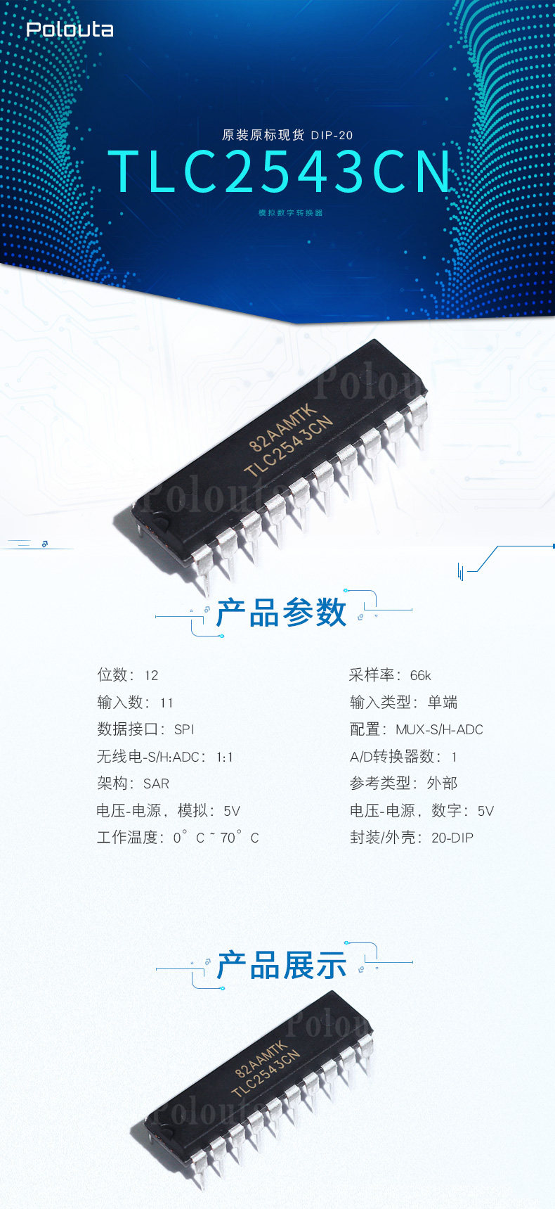 TLC2543CN.jpg