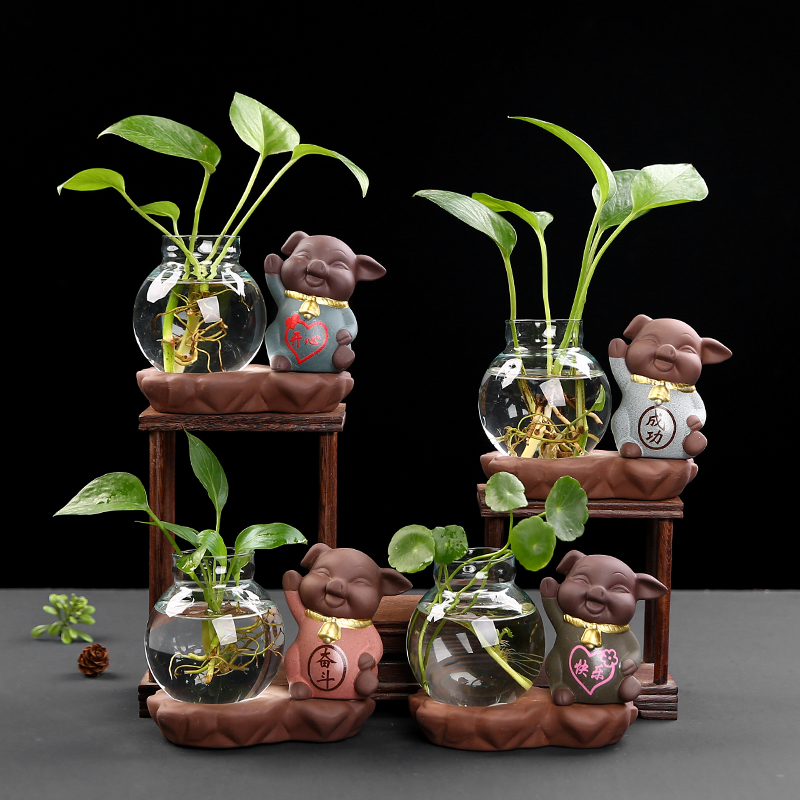 Creative golden kudzu hydroponic plant transparent glass cute piglet vase decoration desktop hydroponic flower arrangement ornaments