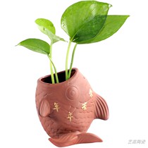 Purple Sand Water Bacon Flower Pots Year After Year With Fish Florware Pendulum Table Top Table TV Cabinet Flower Bowl Bronze Money Grass No Hole Small Vase