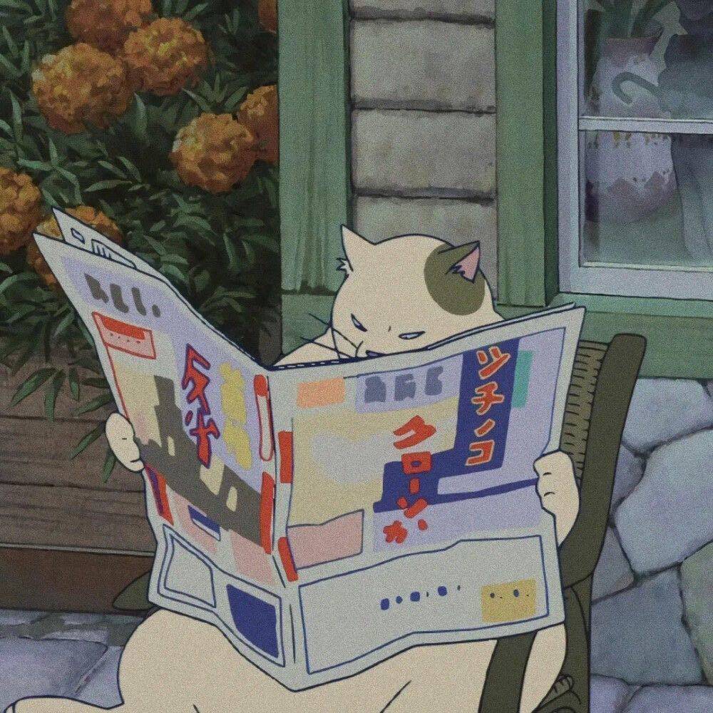 silent宠物用品店