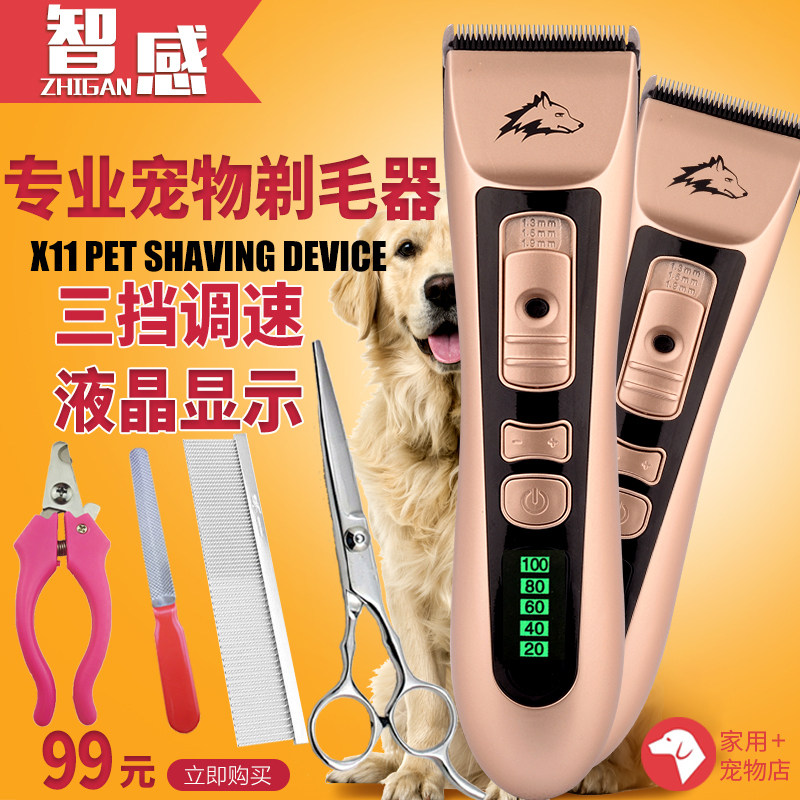 Golden Fur Pooch Shave Mechanism of Hair Machine Teddy Woolen Machine Kitty Cat Animal Pets Electric Pushscissors Subsume