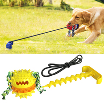 2021 new dog toy large dog resistant teeth leakage ball outdoor tug-of-war puzzle sound self-hi toy