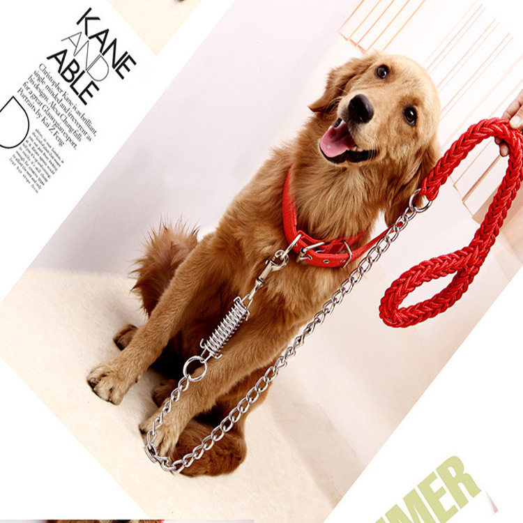 Electroplating alloy iron chain dog traction rope large dog spring explosion-proof punch bold anti-bite Labrador Husky