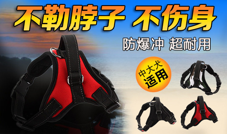 TB2_hXnlVXXXXX_XXXXXXXXXXXX_!!