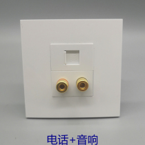 Type 86 2-head audio binding post speaker audio voice information 4-core 2-core telephone RJ11 socket switch panel