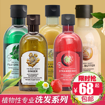 THE BODY SHOP Ginger banana tea tree spicy wood flower oil control dandruff Shampoo Shampoo Shampoo 250ML