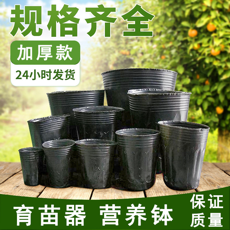 Seedlings vegetable seedlings planting vegetable sprouts vegetable nursery bags plastic black artifact flower pot sprouts fruit trees