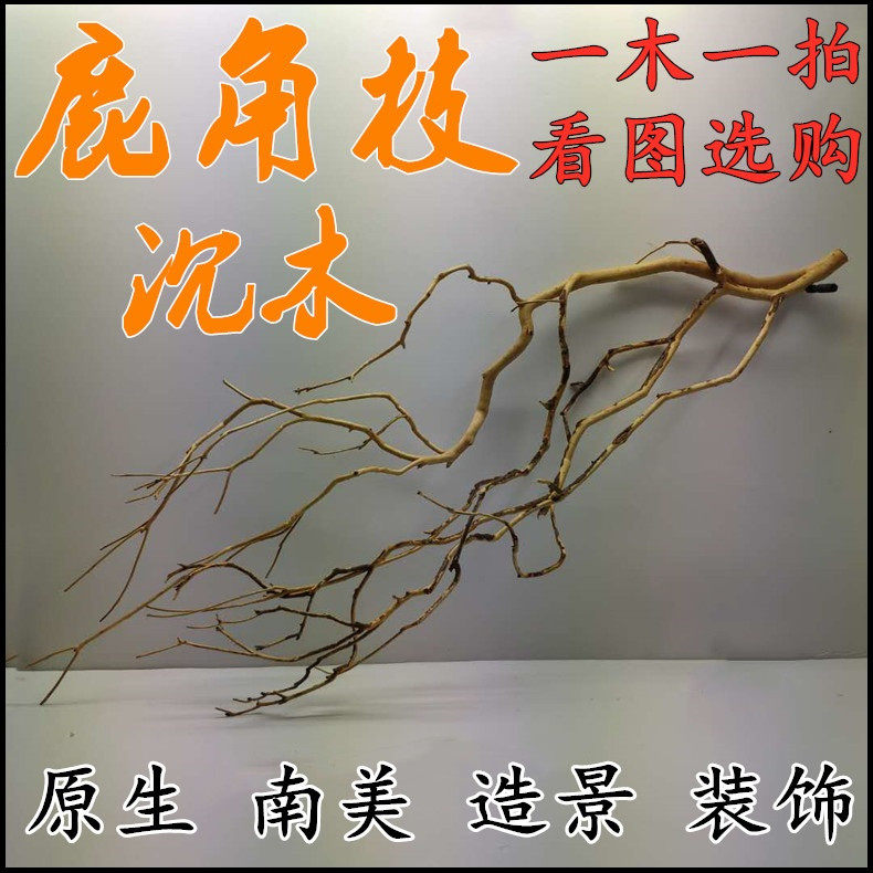 Deer Corner Branches Sink Wood Cuckoo Root Fish Tank Built material Dry trees native South American Egypt Shenxian yellow pear flower arrangement Moss