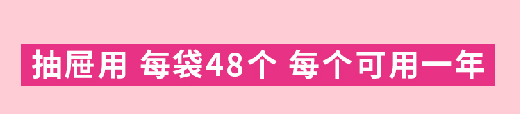 【日本直郵】白元earth 安速樟腦丸 衣櫃防黴防蟲防潮除味驅蟲 48包入 1年用 無香型