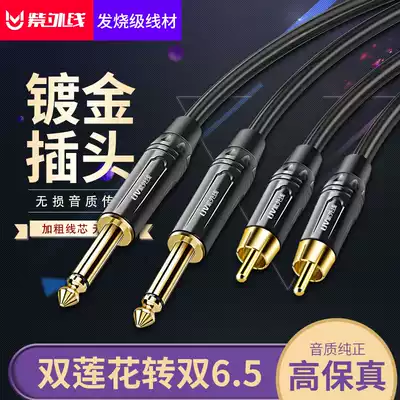 Ultraviolet double 6 5 turns double Lotus audio line big two core double 6 5 turn rca double lotus 2 pairs 2AV turn 6 35 mixer amplifier piano lever mobile speaker cable