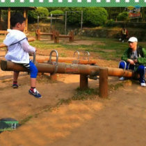 Outdoor large Park parent-child wooden toy rocking horse kindergarten imported solid wood toy four adult seesaw