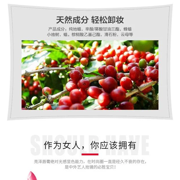 Sự quyến rũ Cosmetics Bộ mỹ phẩm dành cho người mới bắt đầu Bộ trang điểm khuôn mặt Son môi dạng bột Bút chì Có sẵn cho con bú