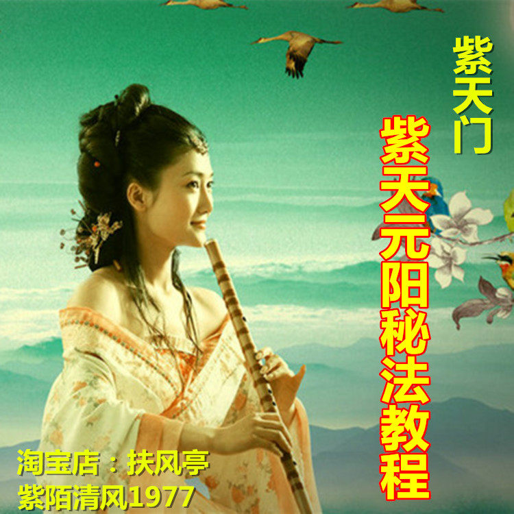 The Purple Sky Doors are top-secret by Yuanyu Purple Sky Fitness Qi Gong Qigong and Cultivation Exercises