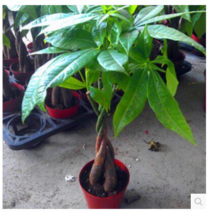 �Ӻ�Ե����������