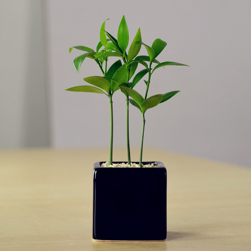 �Ӻ�Ե����辰