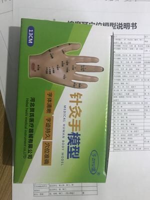 手模型模具人体手的穴位针灸手模型包邮