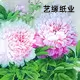 艺缘宣纸厂
