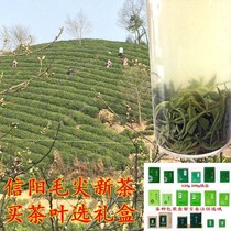 Xinyang Maojian 2020 new tea before rain canned handmade green tea tea farmers self-produced direct Alpine Green Tea 250g