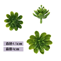 Джинджер 135 Lotus 50