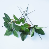 Зеленая железо шелковая платформа цветочная роза стебли.