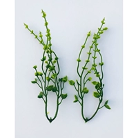 Лимонный желтый [162] 50