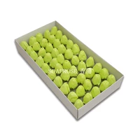 3 слоя тюльпанов [светло -зеленый] 50 цветов