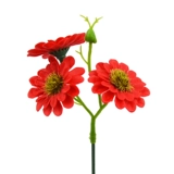 Ono Chrysanthemum Blossom Top Zou Ju Simpan Flower Simulation Flow