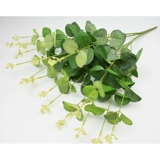 Высокая симуляция денег листья вставки цветок зеленый листья