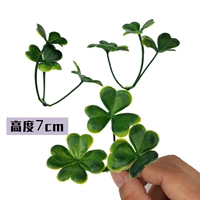 Ярко -желтый 134 четыре -листья трава 50