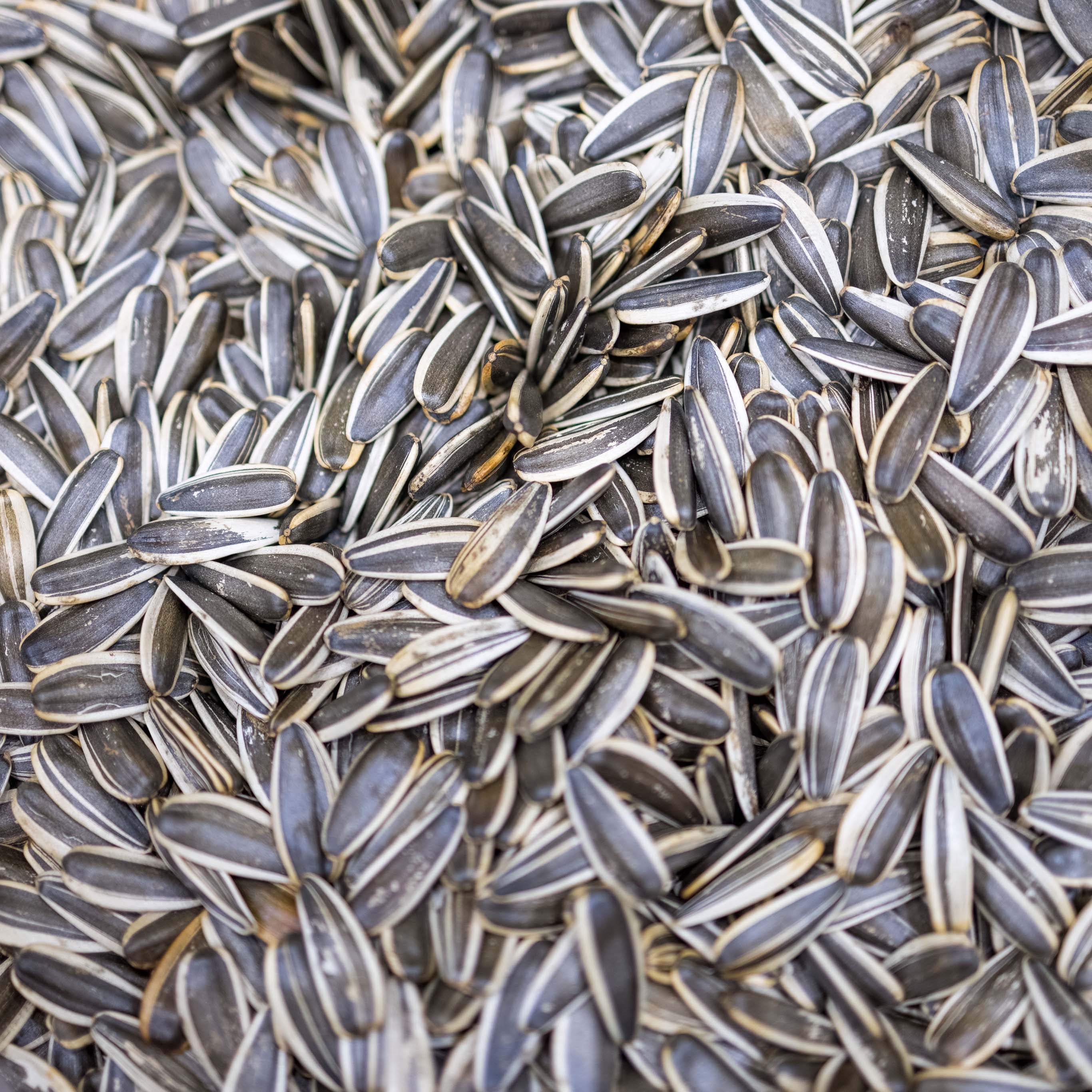 Exclusive heat-sealed fresh full 2 bags of king melon seeds sunflower seeds 500g Taobao live every day