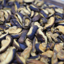 Full 2 sacks of grain Upper Real Mushroom Crisp 250g started in January 2014 trustworthy