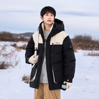 044 Черный абрикос [размер немного больше]