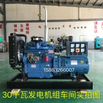 Factory direct sales breeding 30 40 50kw kilowatt diesel generator set Dingcheng power three-phase 220 380V