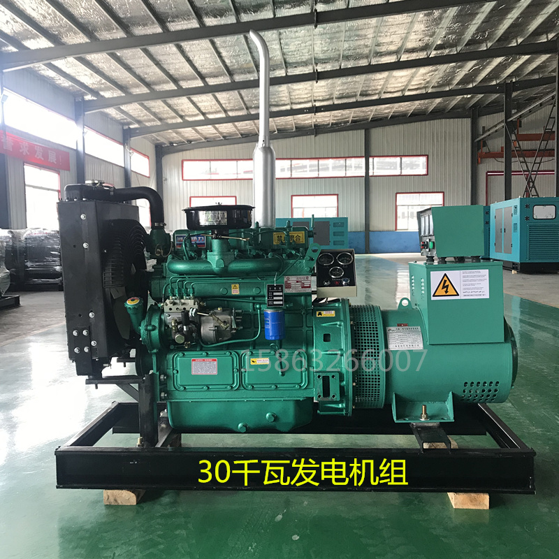 30kw brushless diesel generator set three-phase chicken and fish farming hotel Weifang 4100 diesel engine 30kw