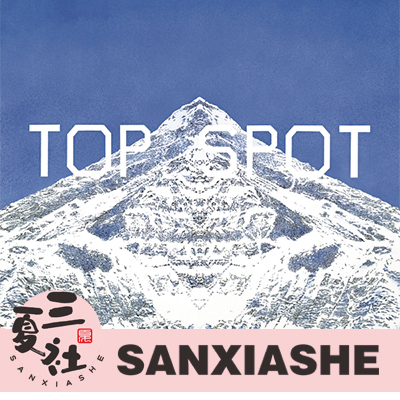 [in Stock] Top Choi Sung-Hyun Another Dimension Nemo Photocard/Keychain Version